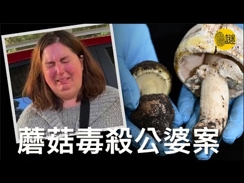 2023年7月29號 澳洲的小鎮發生了一起奇怪的中毒事件 當地的4人在食用了”威靈頓牛排“之後 都出現了不適的症狀.......