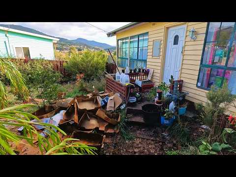 Don't Make This BIG MISTAKE in Your Yard Like This Homeowner Did!!!