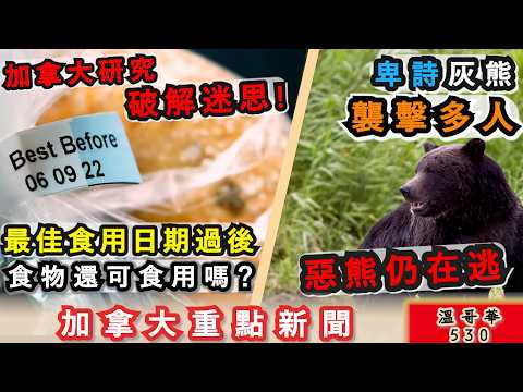 明報溫哥華530 |食物日期迷思 過咗最佳食用日期仲食唔食得？|卑詩灰熊襲擊多人 惡熊仍在逃|愈來愈多保守黨支持者對加拿大民主日益擔憂|加拿大新聞|明報五點半新聞直播