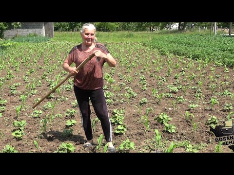 Šta se muž pita za moj život, sad je demokratija