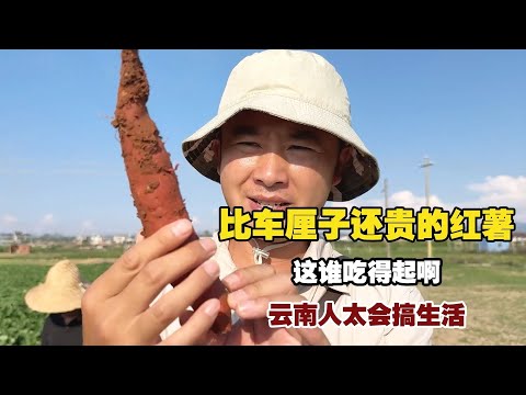 Yunnan’s life mastery: stir-fried pomegranate flowers, sweet potatoes costlier than lychees.