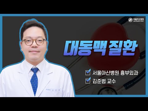 [심장지킴이 2021]  가장 큰 혈관, 대동맥