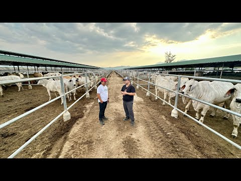 Ina-abangang Makita! Ito na ang FUTURE of CATTLE INDUSTRY in the Philippines: Abra River Ranch