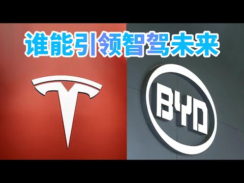 特斯拉纯视觉VS比亚迪堆装备，中美两国智能驾驶王者的巅峰较量 #新能源汽车#特斯拉体验 #特斯拉 #tesla #马斯克 #比亚迪 #byd #王传福 #智能驾驶 #ai