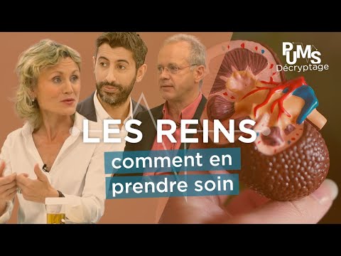 How to protect your kidneys? Kidney failure, kidney disease, kidney stones, renal colic