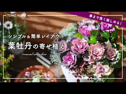 [For beginners] How to create a simple layout for a chrysanthemum arrangement [with layout diagram]