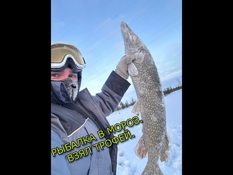 ПОЙМАЛ ТРОФЕЙ! Рыбалка на жерлицы в мороз.