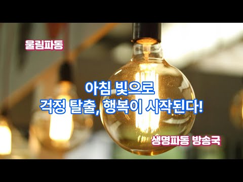 빛으로 행복이 시작된다. 지친 하루에 은근히 스며든다