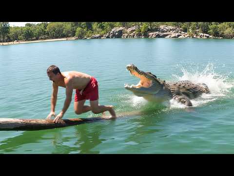 Luckiest People Caught on Camera