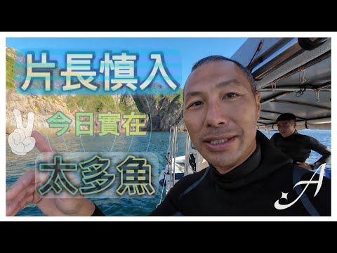 《陸上人的水上生活》 #50 片長慎入 今日實在太多魚