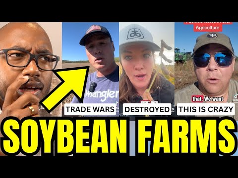 Soybean Farms Are In RUINS After Trump Trade War