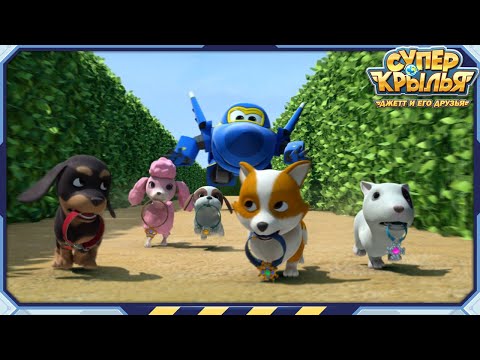 [СУПЕРКРЫЛЬЯ Best] Приходи скорее! вечеринка начинается! | Лучший Компиляция EP97 | Суперкрылья