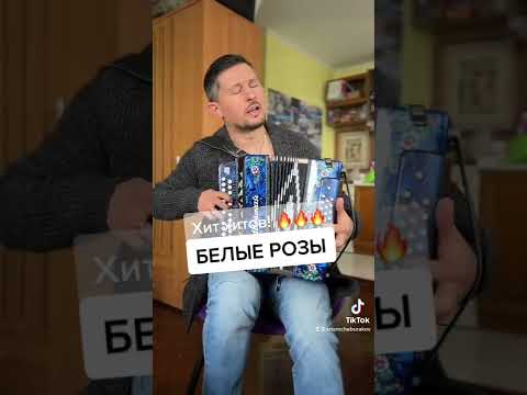 Белые розы под гармошку. Как умеем, так поем. Пробуйте 😉
