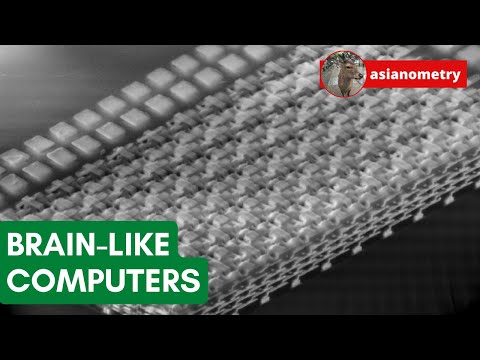 Why Brain-like Computers Are Hard