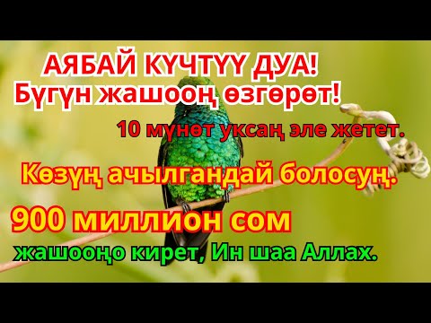 Акча Магнити Дубасы: Жашооң ГҮЛДӨП ӨСҮП, Карыздар Жок Болот! (Күчтүү Ыкма) | 2