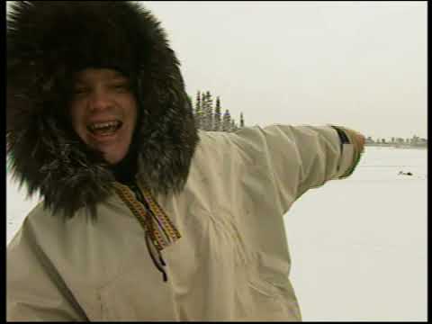Arctic Survival (2002) Ray Mears' Extreme Survival