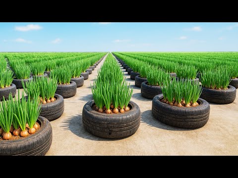 Simple Tire Garden Trick for Fresh Green Onions