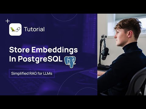 PostgreSQL as VectorDB - Beginner Tutorial
