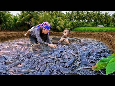 Unbelievable Giant Fish Catch! And a Heartwarming Meal for My Little Daughter