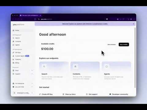 You.com Platform Home Page and API Playground