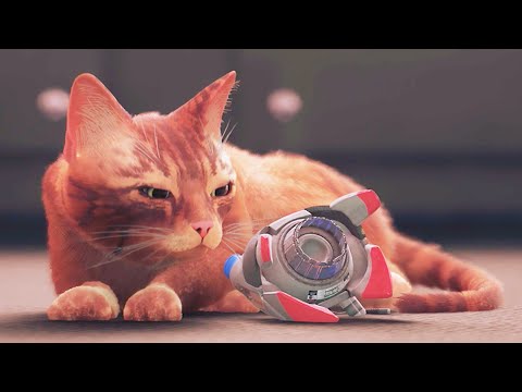 STRAY ENDING PS5 2022