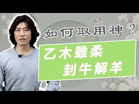 【吳尚易八字】「乙木雖柔，卦牛解羊」嬌柔美麗，多出清秀美人跟小鮮肉？水太多，富裕卻懶散？解析袁樹珊的命例，水多木漂的八字需要的是這個！！！
