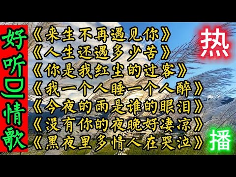 精选7首超好听DJ情歌《来生不再遇见你》《你是我红尘的过客》