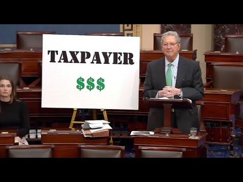 Kennedy on U.S. Senate floor: The Somali fraud in Minnesota is a clown world on steroids