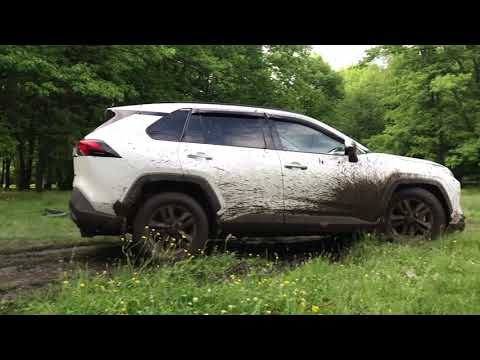 Что может RAV4 в лесу!? // По стопам "старших" братьев LC Prado // RAV4 против LC Prado //