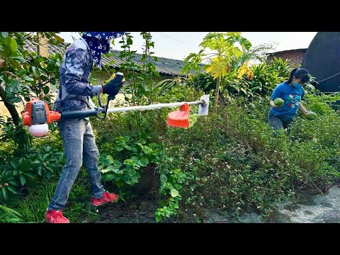 Single Girl's Prayer Backyard Afraid of Snakes and Mosquitoes Clean up, cut grass, saw trees