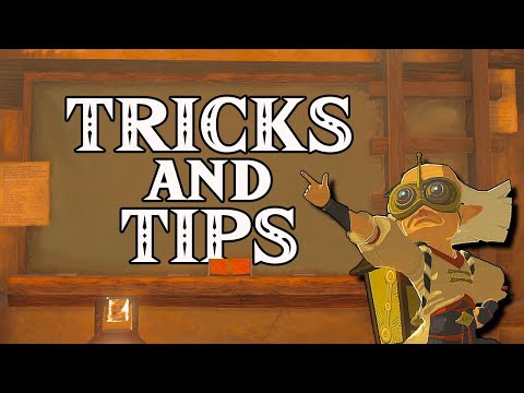 145 Tips & Tricks I Wish I Knew for Zelda Breath of The Wild | BotW