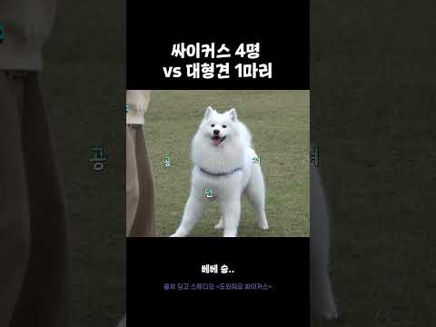 싸이커스 4명 VS 대형견 1마리
