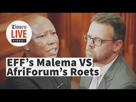 Malema VS Roets | Insults, 'kiss the boer' and protests light up court during hate speech trial
