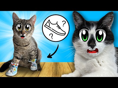 10 СПОСОБОВ ПРАНКАНУТЬ КОТИКОВ! СМЕШНЫЕ РОЗЫГРЫШИ АНУКА ДАВАЙКА! ПРИКОЛЫ с КОТАМИ! КОТЁНОК ЮГИ и ЯНИ