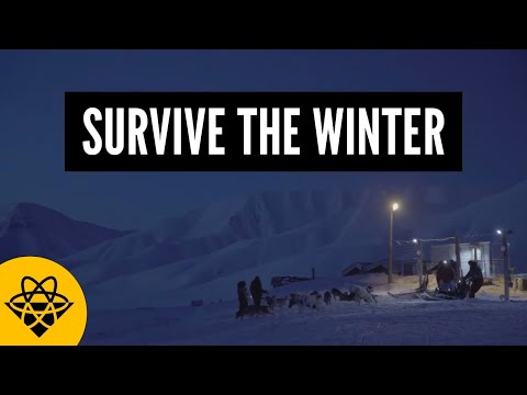 How plants survive the winter