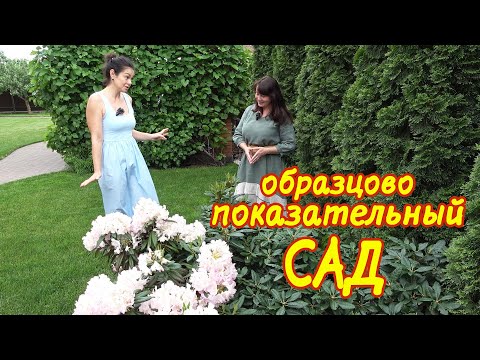 Идеальный КОТТЕДЖНЫЙ САД своими руками за 10 лет! Стильный сад в стиле МИНИМАЛИЗМ.