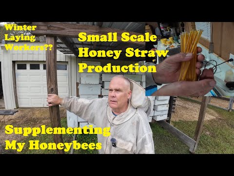 Making Honey Straws on a Small Scale | Feeding Them Bees