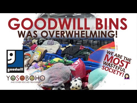 THIS BROKE ME 😥 I Left the Cleveland Goodwill Bins Feeling Sick About Our Society