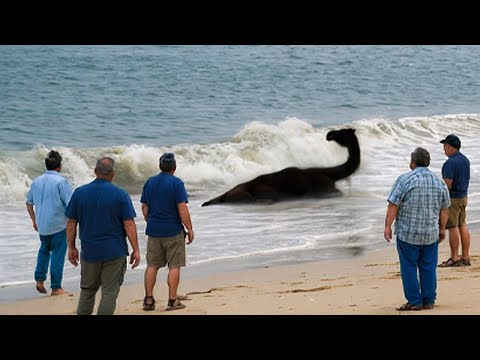 Incredible Moments Caught on Camera