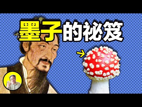 墨子為什麼鐘愛蘑菇?我們從他守城的秘笈中發現了如此有趣的故事……|總裁聊聊