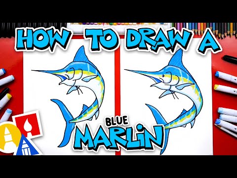 How To Draw A Blue Marlin
