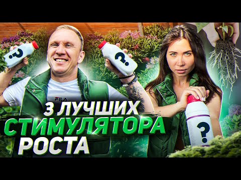 💥Самые ЭФФЕКТИВНЫЕ стимуляторы роста! ТОП-3