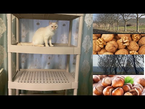 I have a new, beautiful, strong rack. @Work on the farm continues. How can I make money on the farm?