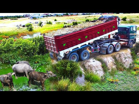 First Start Amazing PROJECT!! LANDFILL Deep Pond In Flooded Area Use SHANTUI C3 Dozer & 25Ton Truck.