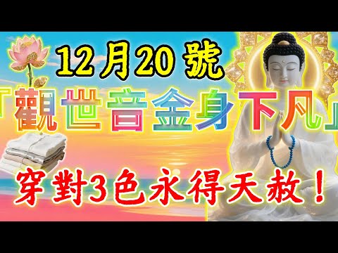 百年難遇！12月20號，「觀世音金身下凡」，“天恩日”！起床後穿這3個顏色衣服，菩薩保妳正財橫財大爆發！#佛陀#佛學#佛教#禪修#佛法智慧#佛教故事#佛教文化#禅语#佛音#佛歌