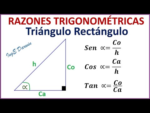 RAZONES TRIGONOMÉTRICAS en triángulos rectángulos - Características y ejemplos