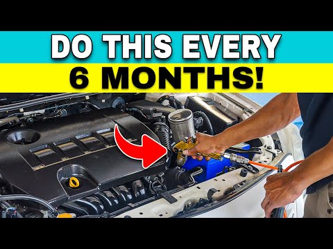 Most Cars Die Early: These Tricks Take Them To 1,000,000 Kilometers