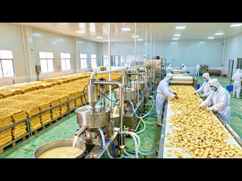 Satisfying Dried Tofu Production: From Soybean to Snack | ASMR Factory Process