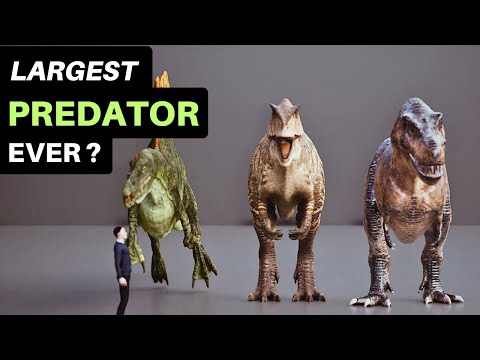 Largest Land Predator To Ever Live?