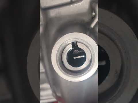Verify Benz Injection Pump Timing